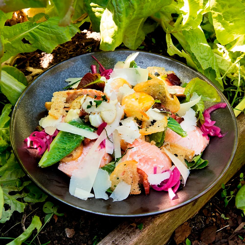 Caesarsallad med Hemrökt Lax, Sidfläsk och Pocherat Ägg