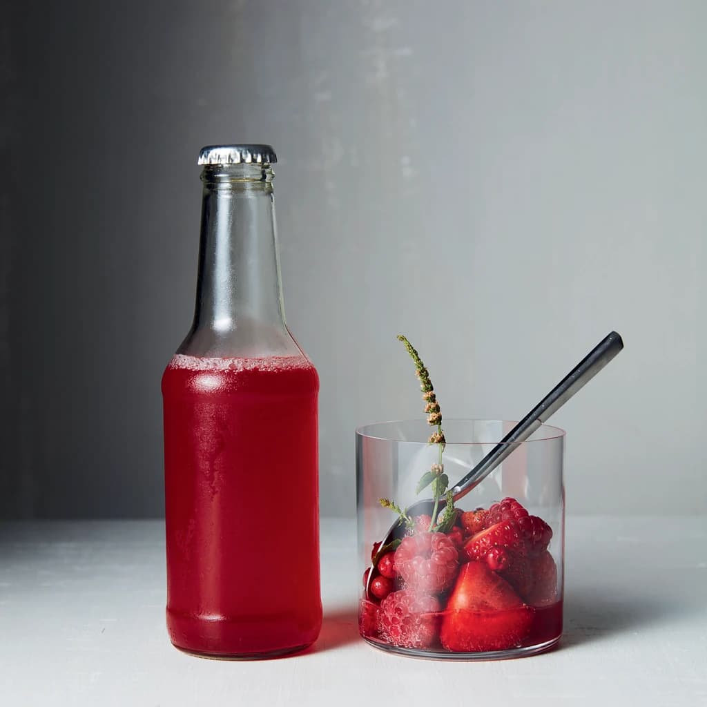 Lingonkombucha med bär