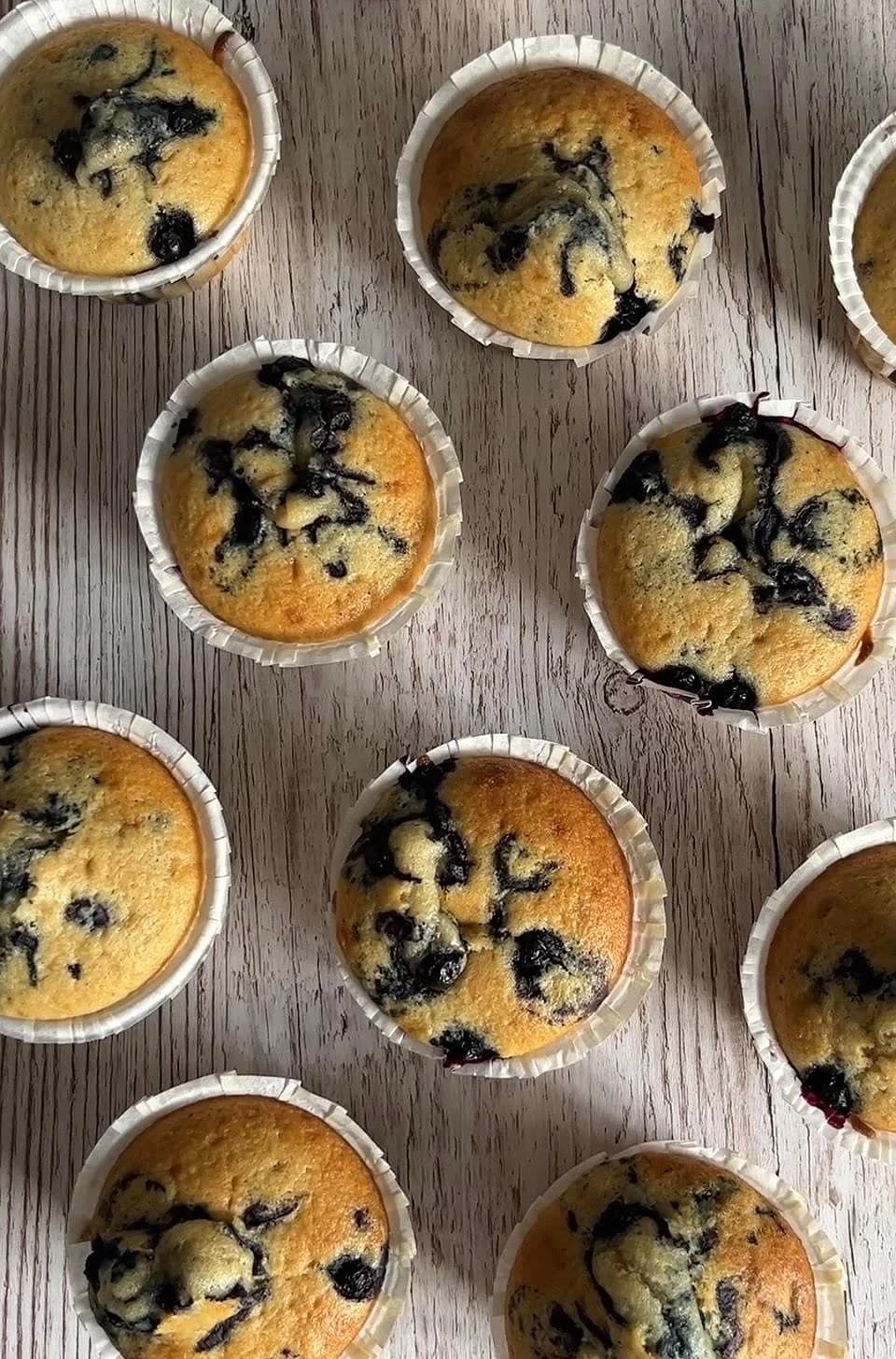 Blåbärsmuffins