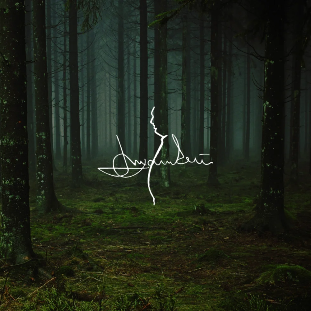 Älggryta Bourguignonne by Leif Mannerström