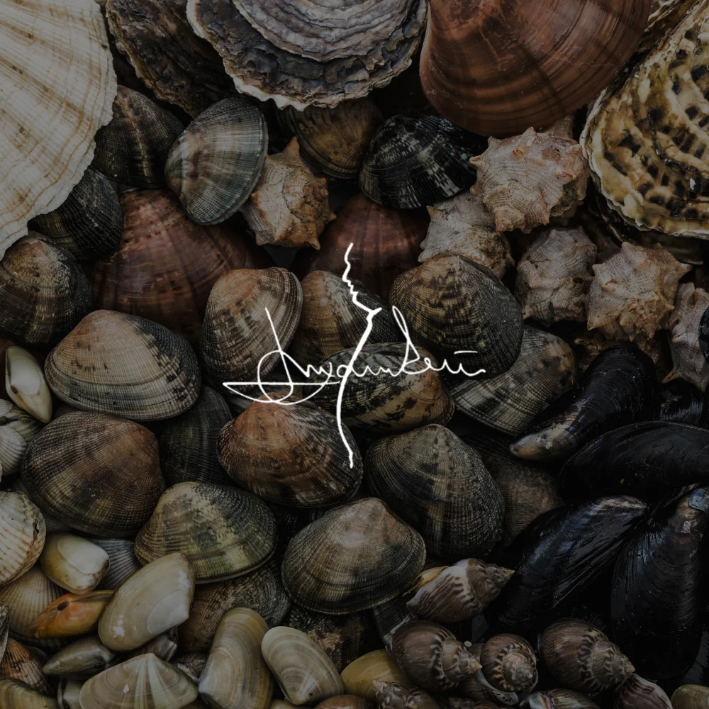 Beurre blanc-sås by Leif Mannerström